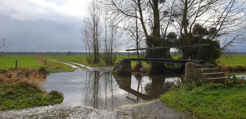 Charming Cottage Du Marais Dday Omaha Beach Canchy  外观 照片